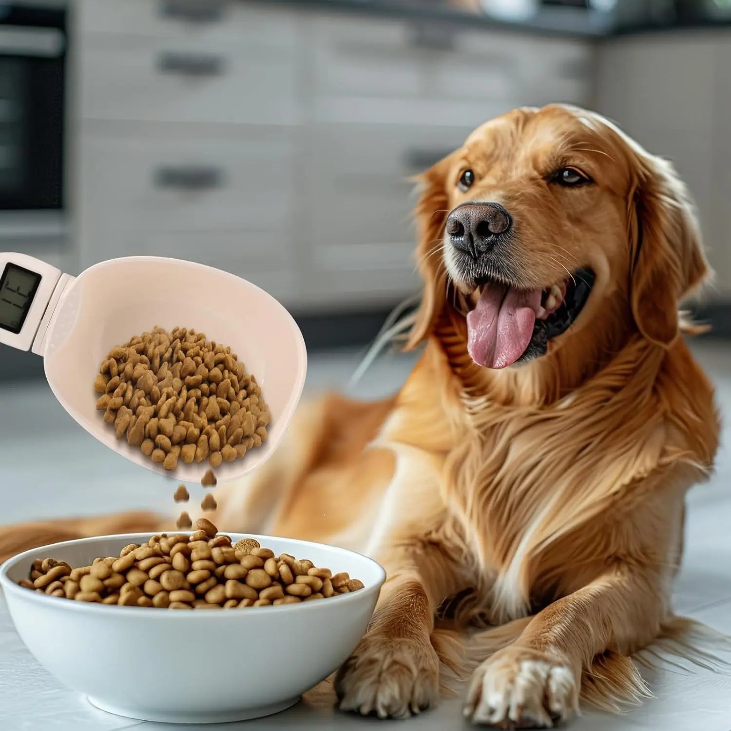 Messschaufel für Hunde- und Katzenfutter