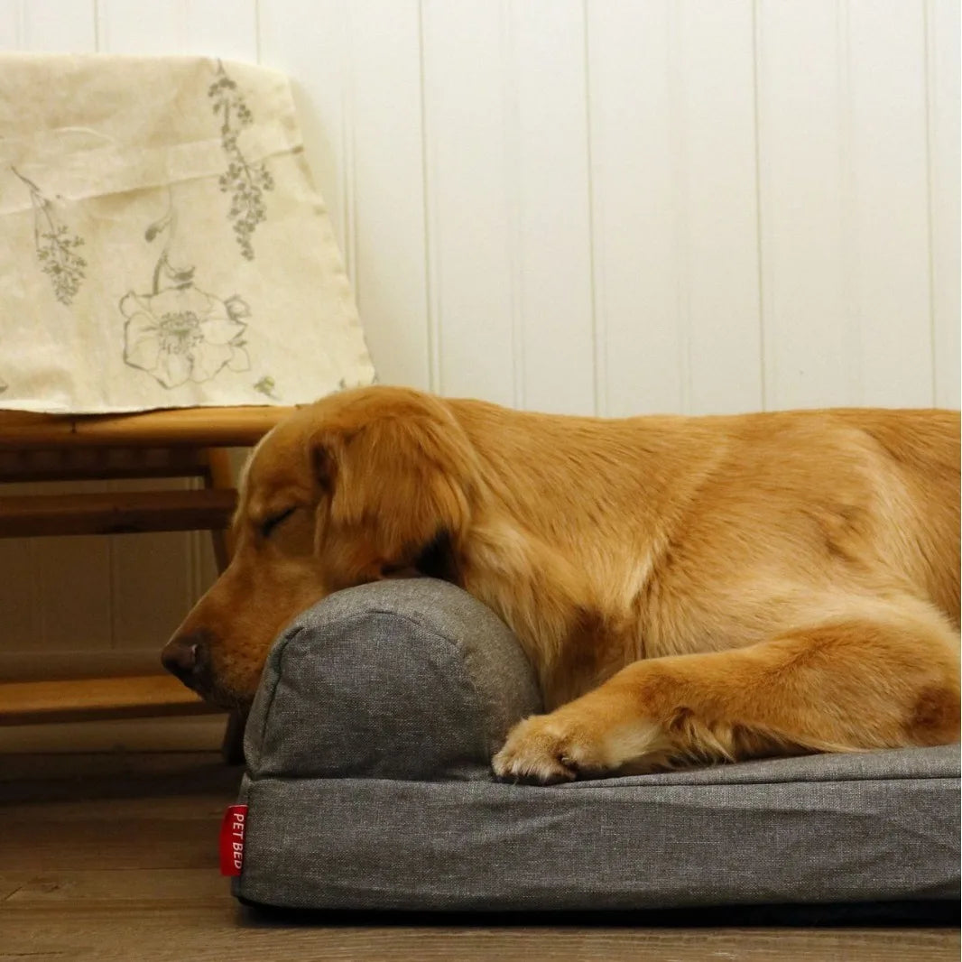 Orthopädisches Hunde- und Katzenbett