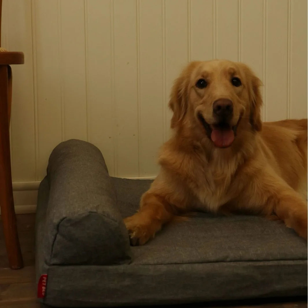 Orthopädisches Hunde- und Katzenbett